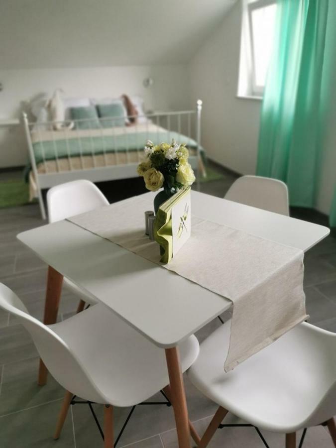 Vila Zdenka 노비비노돌스키 외부 사진