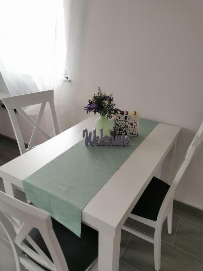 Vila Zdenka 노비비노돌스키 외부 사진